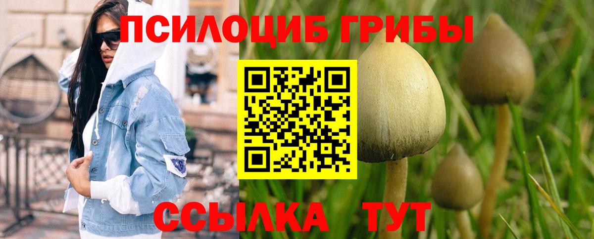 Реж  Псилоцибиновые грибы Psilocybine cubensis  Вход с VPN 