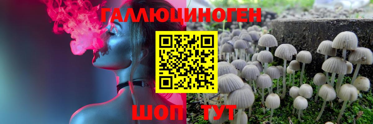 Галлюциногенные грибы GOLDEN TEACHER Реж